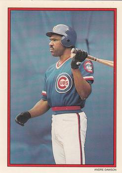 1990 Topps - 1990 All-Star Set Collector's Edition (Glossy Send-Ins) #41 Andre Dawson Front