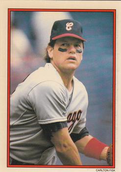 1990 Topps - 1990 All-Star Set Collector's Edition (Glossy Send-Ins) #46 Carlton Fisk Front