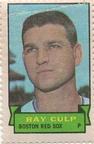 1969 Topps Stamps #NNO Ray Culp Front