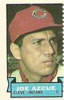 1969 Topps Stamps #NNO Joe Azcue Front