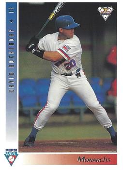 1993-94 Futera Australian Baseball Export Series #59 David Buckthorpe Front