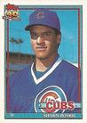 1991 Topps Micro #254 Shawn Boskie Front