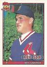 1991 Topps Micro #629 Wes Gardner Front