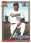 1991 Topps Micro #74 Shane Andrews Front