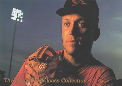 1993 Upper Deck - Iooss Collection Jumbo #WI 15 Cal Ripken Jr. Front