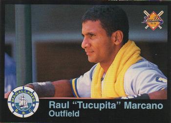 1995-96 Line Up Venezuelan Winter League #72 Raul Marcano Front