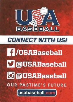 2015 Panini USA Baseball Stars & Stripes #NNO Info Card Front