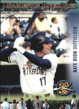 2003 MultiAd Charleston RiverDogs #18 Nate Dion Front