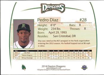 2014 Dayton Dragons Team Issue #9 Pedro Diaz Back