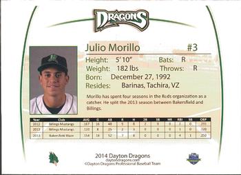 2014 Dayton Dragons Team Issue #21 Julio Morillo Back