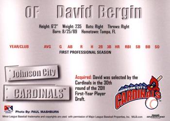 2011 Grandstand Johnson City Cardinals #NNO David Bergin Back