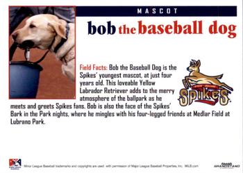 2011 Grandstand State College Spikes #NNO Bob The Baseball Dog Back