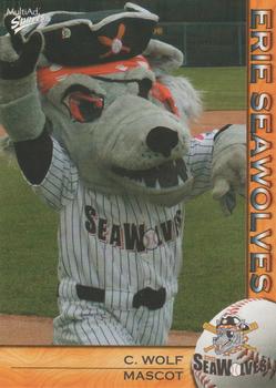 2004 MultiAd Erie SeaWolves #30 C. Wolf Front
