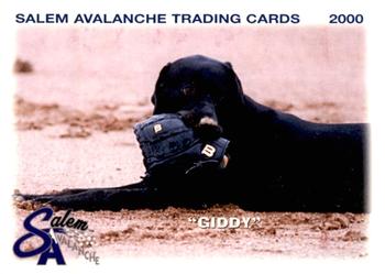 2000 Grandstand Salem Avalanche #NNO Giddy Front
