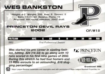 2002 Grandstand Princeton Devil Rays #3 Wes Bankston Back