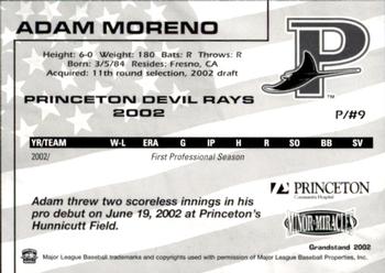 2002 Grandstand Princeton Devil Rays #15 Adam Moreno Back