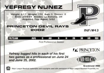 2002 Grandstand Princeton Devil Rays #17 Yefresy Nunez Back