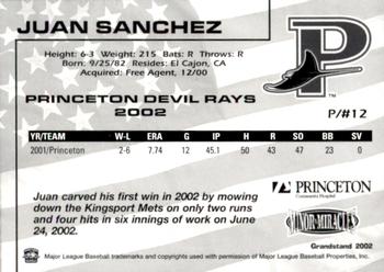 2002 Grandstand Princeton Devil Rays #23 Juan Sanchez Back