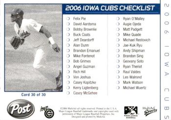 2006 MultiAd Iowa Cubs #30 Felix Pie Back