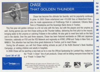 2006 MultiAd Trenton Thunder #30 Chase Back