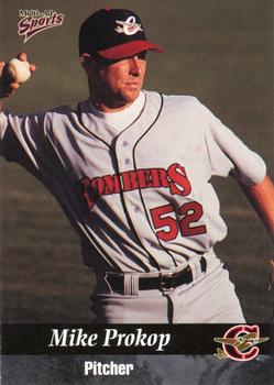 1999 Multi-Ad Capital City Bombers #18 Mike Prokop Front