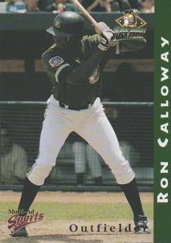 1998 Multi-Ad South Bend Silver Hawks #9 Ron Calloway Front