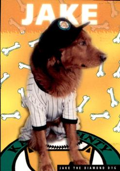 1996 Kane County Cougars #NNO Jake The Diamond Dog Front