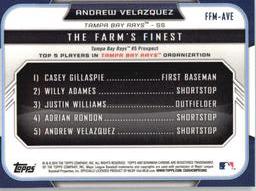 2015 Bowman - The Farm's Finest Minis #FFM-AVE Andrew Velazquez Back