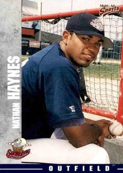 2000 Multi-Ad Erie SeaWolves #NNO12 Nathan Haynes Front