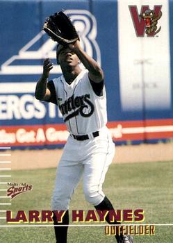 2000 Multi-Ad Wisconsin Timber Rattlers #13 Larry Haynes Front