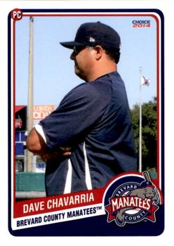 2014 Choice Brevard County Manatees #7 Dave Chavarria Front