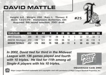 2003 Grandstand Lakeland Tigers #NNO David Mattle Back