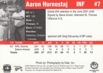 2003 MultiAd Hagerstown Suns #18 Aaron Hornostaj Back