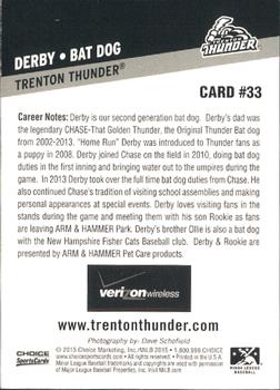 2015 Choice Trenton Thunder #33 Derby Back