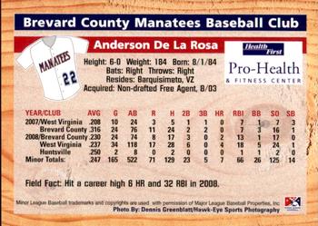 2009 Grandstand Brevard County Manatees #NNO Anderson De La Rosa Back