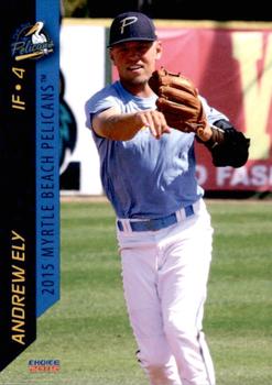 2015 Choice Myrtle Beach Pelicans #10 Andrew Ely Front