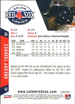 2015 Choice Salem Red Sox #22 Aneury Tavarez Back