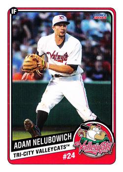 2013 Choice Tri-City ValleyCats Update #38 Adam Nelubowich Front