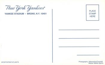 1992 New York Yankees Postcards #NNO Matt Nokes Back