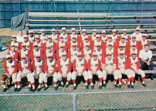 1963 Trench Cincinnati Reds Color Team Photo #NNO Team Photo Front