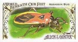 2015 Topps Allen & Ginter - Mini A World Beneath Our Feet #BUG-3 Assassin Bug Front