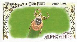 2015 Topps Allen & Ginter - Mini A World Beneath Our Feet #BUG-9 Deer Tick Front