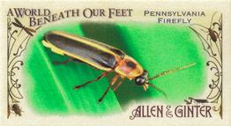 2015 Topps Allen & Ginter - Mini A World Beneath Our Feet #BUG-10 Pennsylvania Firefly Front