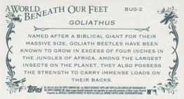 2015 Topps Allen & Ginter - Mini A World Beneath Our Feet #BUG-2 Goliath Beetle Back