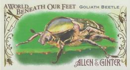 2015 Topps Allen & Ginter - Mini A World Beneath Our Feet #BUG-2 Goliath Beetle Front