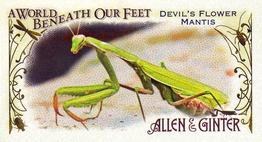 2015 Topps Allen & Ginter - Mini A World Beneath Our Feet #BUG-4 Devil's Flower Mantis Front