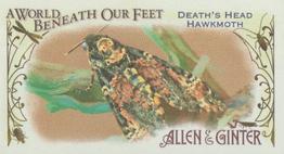 2015 Topps Allen & Ginter - Mini A World Beneath Our Feet #BUG-8 Death's Head Hawkmoth Front
