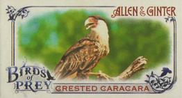 2015 Topps Allen & Ginter - Mini Birds of Prey #BP-6 Crested Caracara Front