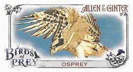 2015 Topps Allen & Ginter - Mini Birds of Prey #BP-9 Osprey Front