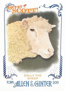 2015 Topps Allen & Ginter - Great Scott! #GS-10 Dolly the Sheep Front